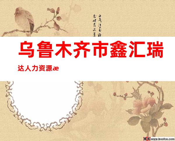 乌鲁木齐市鑫汇瑞达人力资源服务有限公司