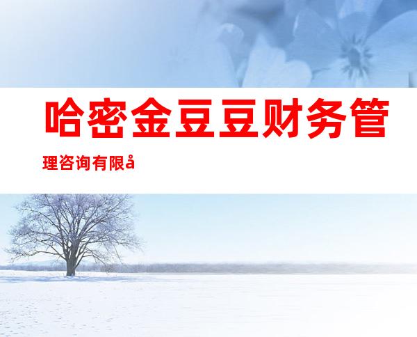 哈密金豆豆财务管理咨询有限公司