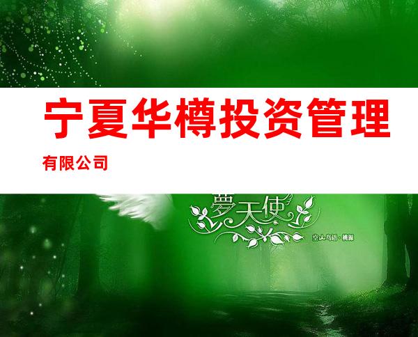 宁夏华樽投资管理有限公司