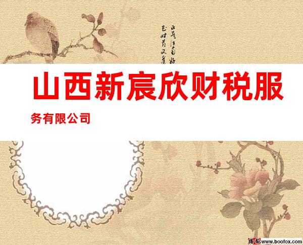 山西新宸欣财税服务有限公司