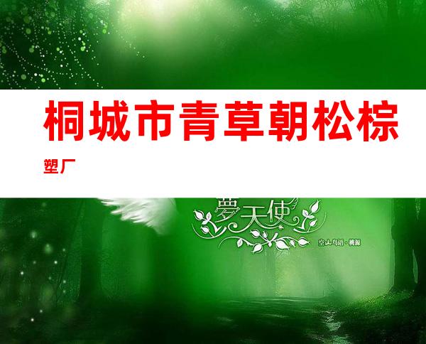 桐城市青草朝松棕塑厂