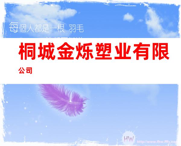 桐城金烁塑业有限公司