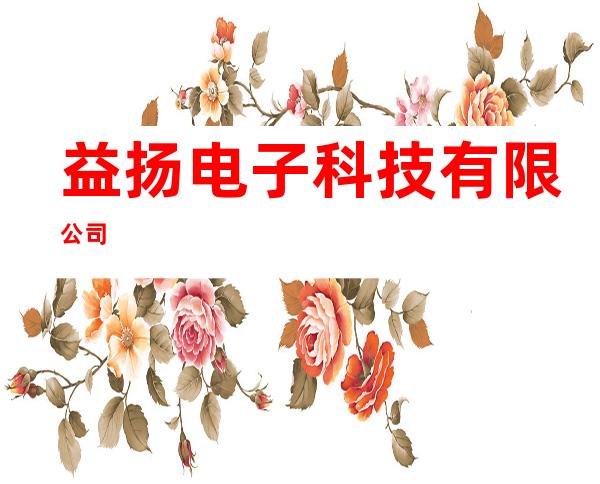 益扬电子科技有限公司