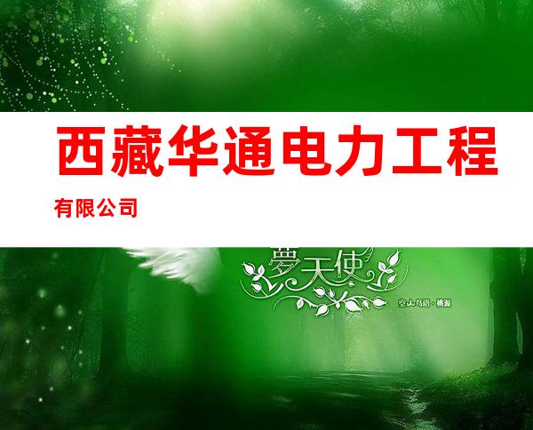 西藏华通电力工程有限公司